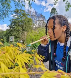 Dr Zigs Sæbeboblesæt - Bubble Pollinator Kit