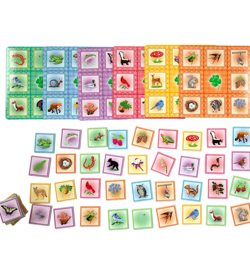 Eeboo Spil - Billedlotteri - Busy Woods