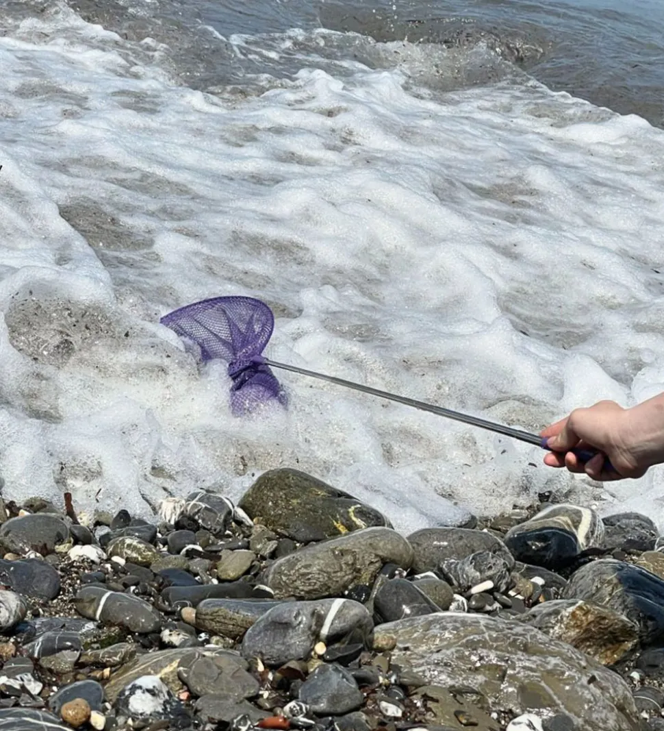 Follow the Duck Net - Telescopic Net - Dark Purple
