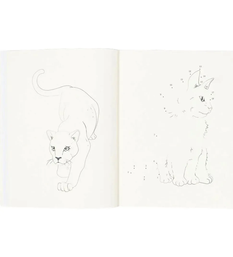 Konges Sløjd Aktivitetsbog m. Farveblyanter - Multi