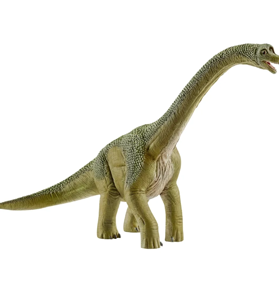 Schleich Dinosaurs - Brachiosaurus - H: 18,5 14581