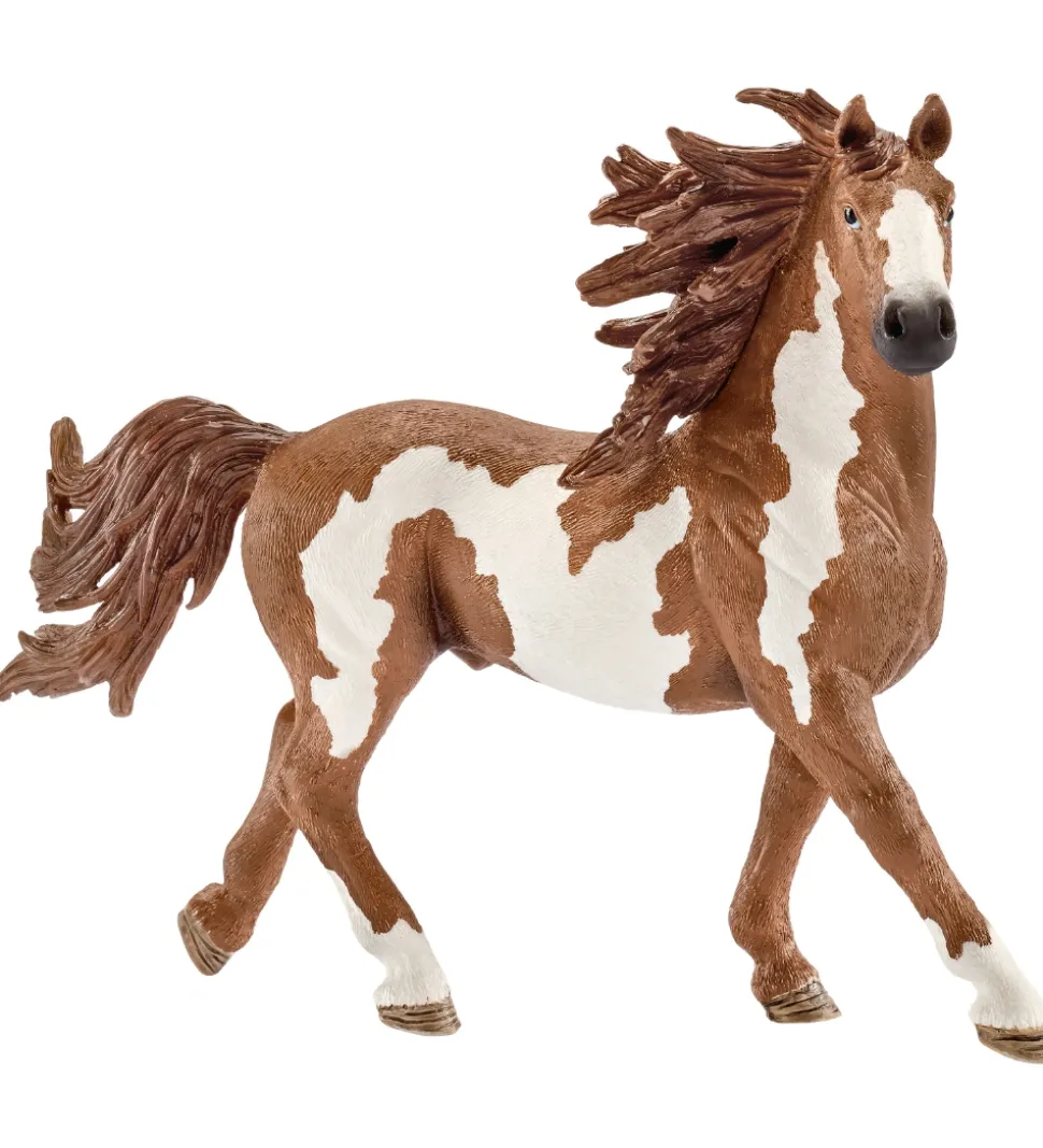 Schleich Dyr - 16 x 10,5 cm - Pinto Hingst 13794