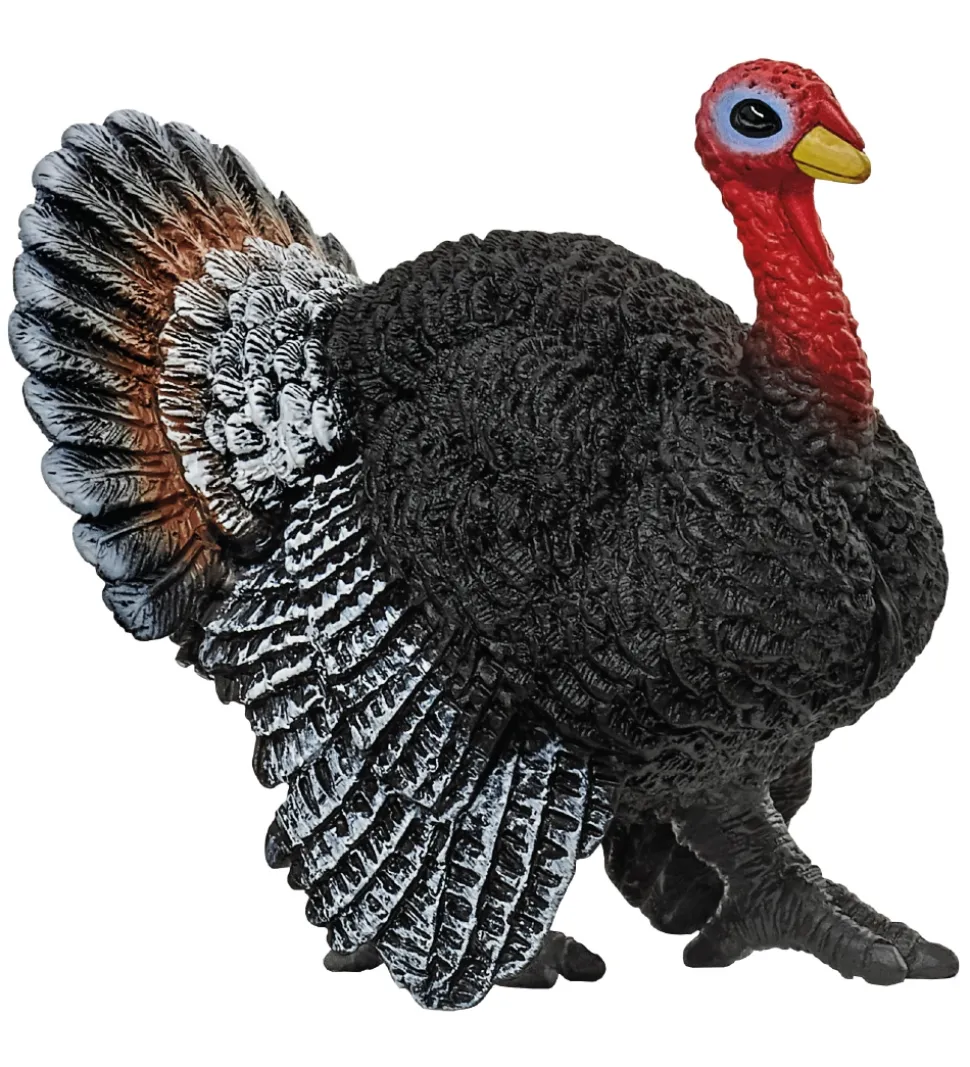Schleich Dyr - H: 10 cm - Kalkun 13900