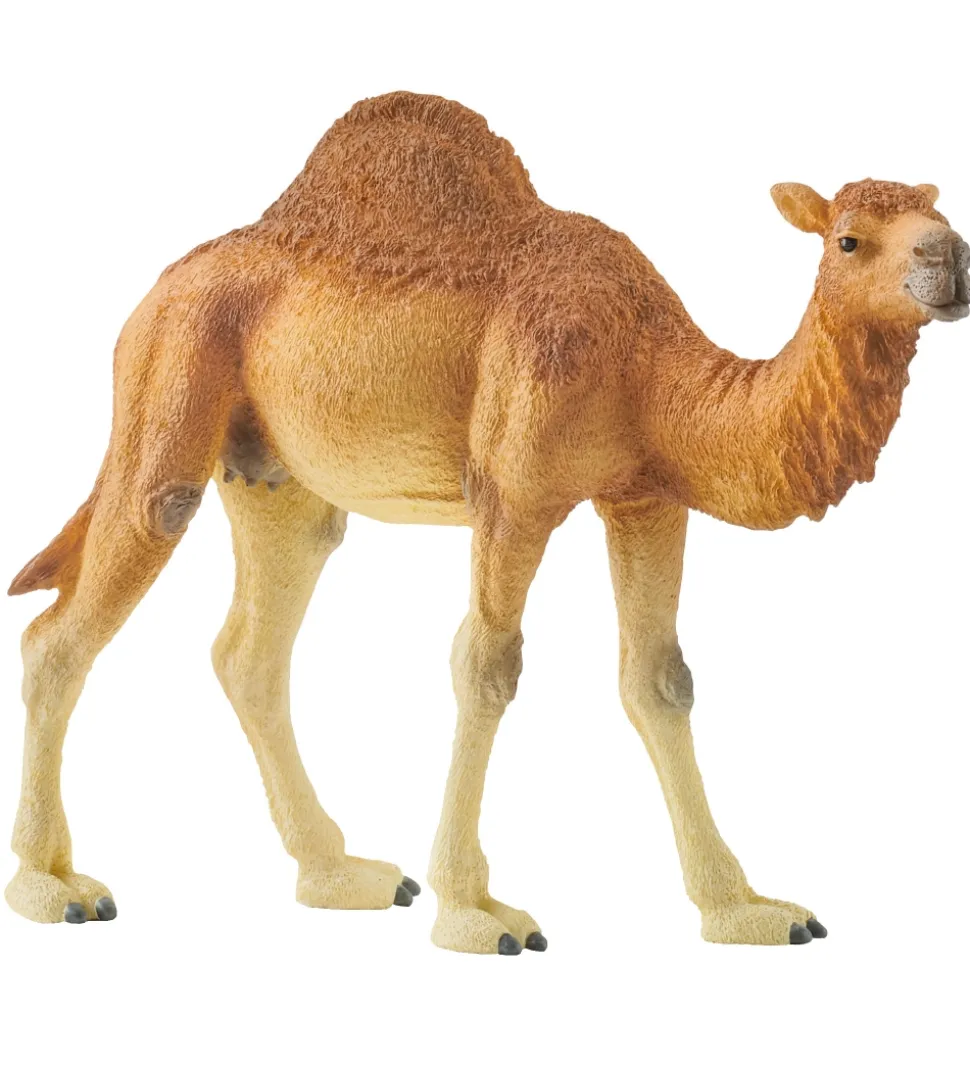 Schleich Dyr - H:11 cm - Dromedar 14832