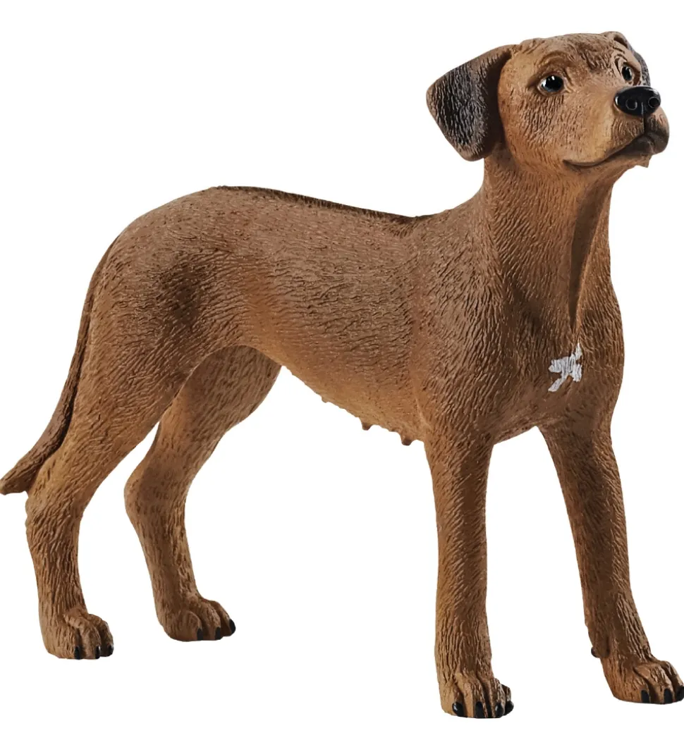 Schleich Dyr - H:6 cm - Rhodesian Ridgeback 13895
