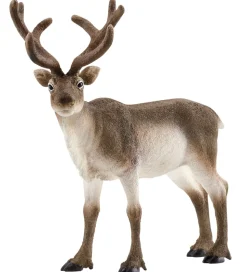 Schleich Dyr - L:13 cm - Rensdyr 14837