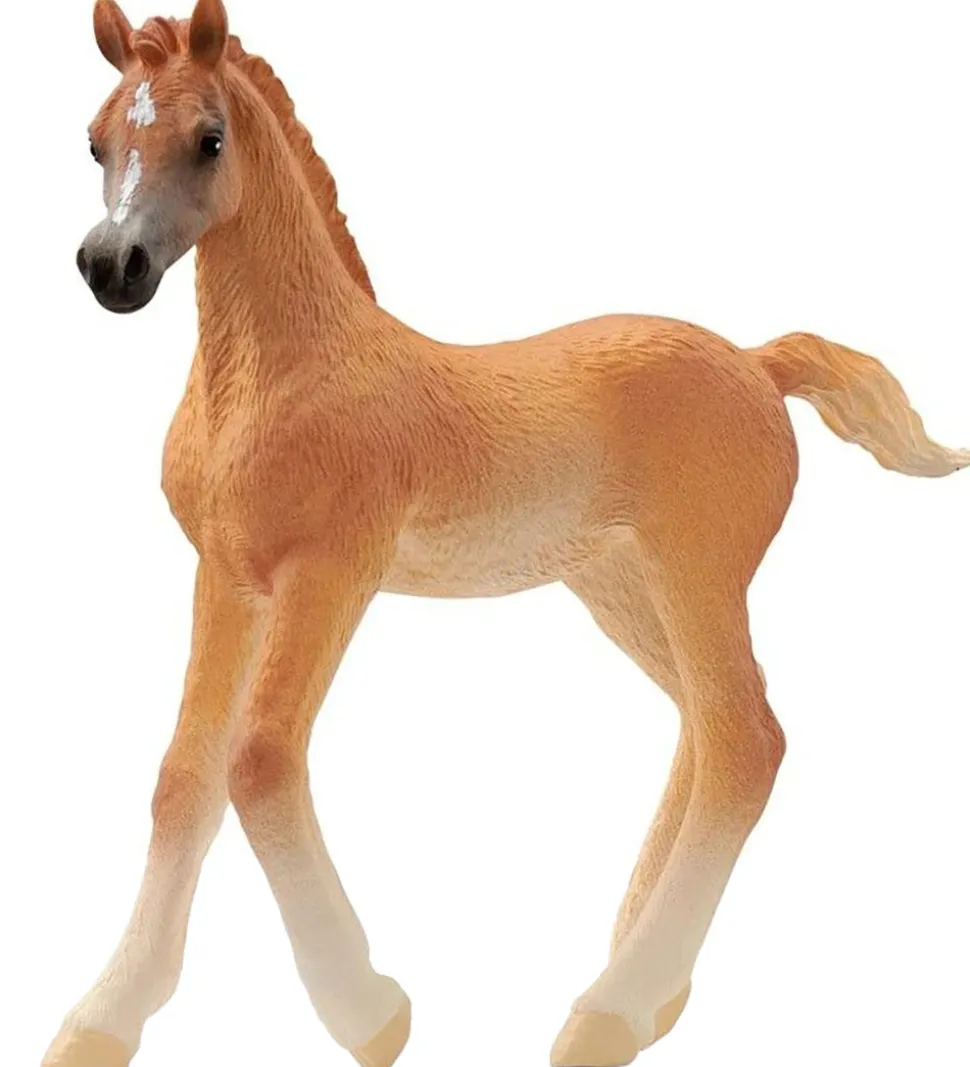 Schleich Horse Club - Araberføl - H: 8 cm - 13984