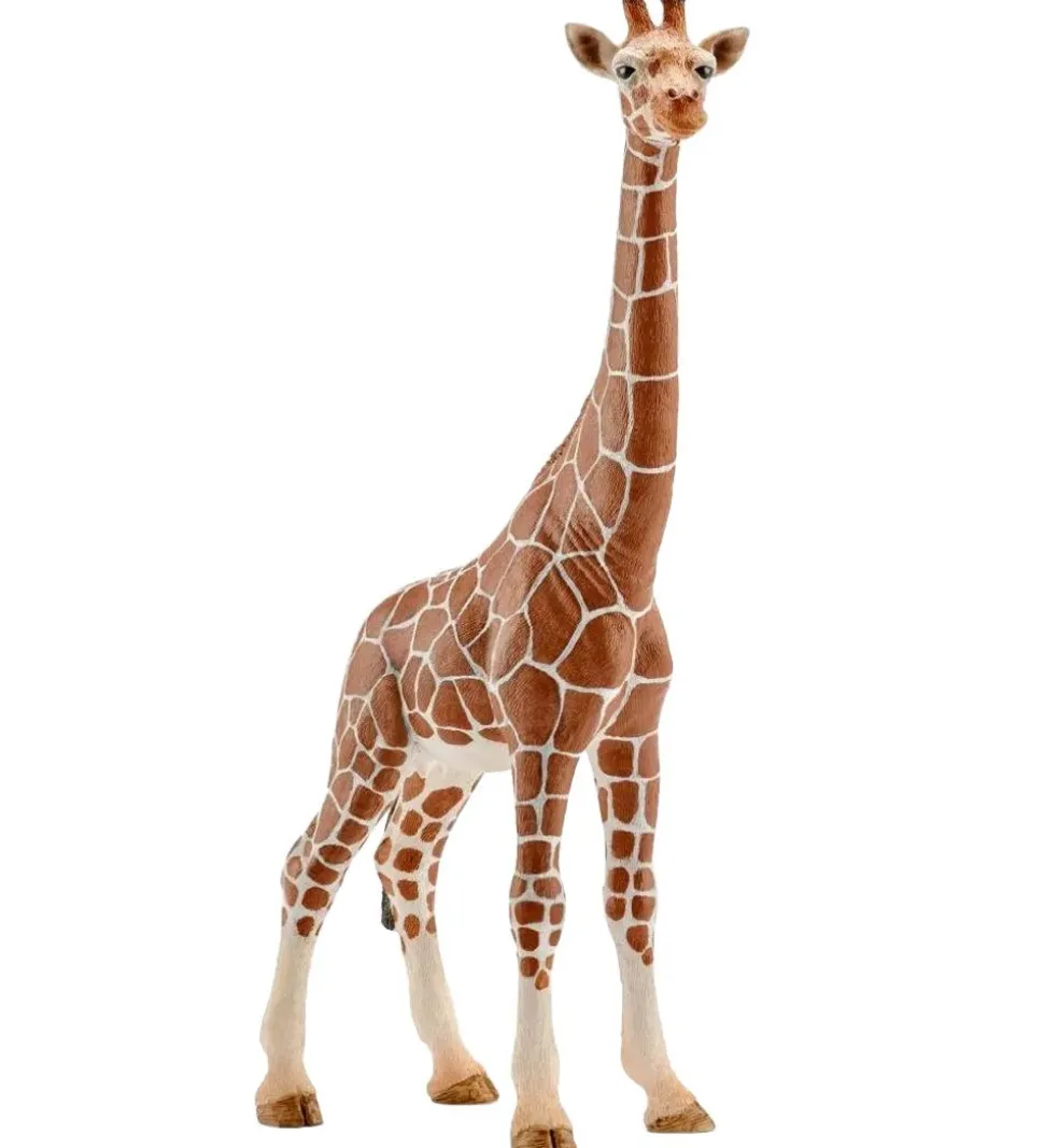 Schleich Wild Life - H: 17 cm - Giraf 14750