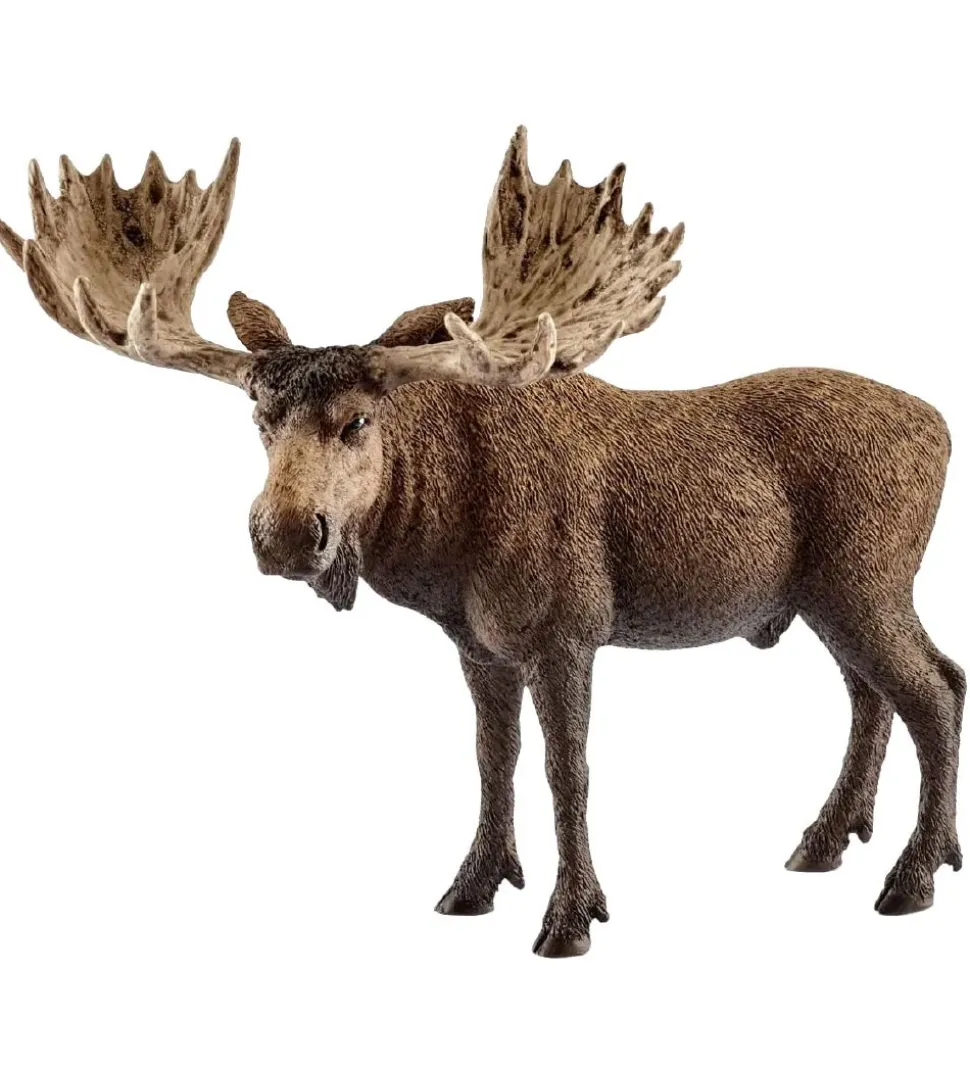 Schleich Wild Life - H: 12 cm - Elg 14781