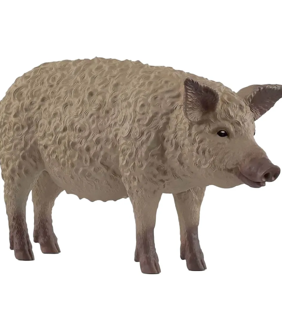 Schleich Wild Life - Mangalitsa Gris - 9,7 cm - 14892
