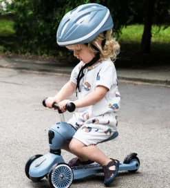 Scoot and Ride Highway Kick 1 - Steel