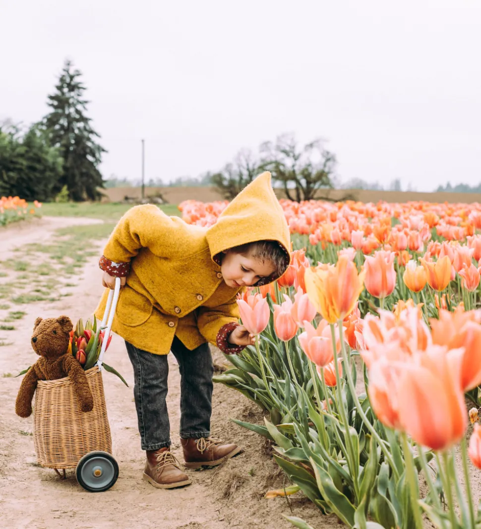Senger Naturwelt Bamse - Stor - Bjørn - Brun