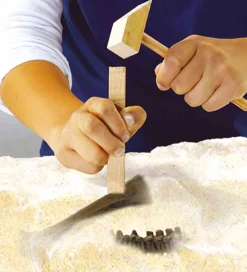 SES Creative Udhug - Explore - T-rex og Skelet