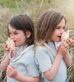 The Zoofamily Walkie Talkies - Dino Pink